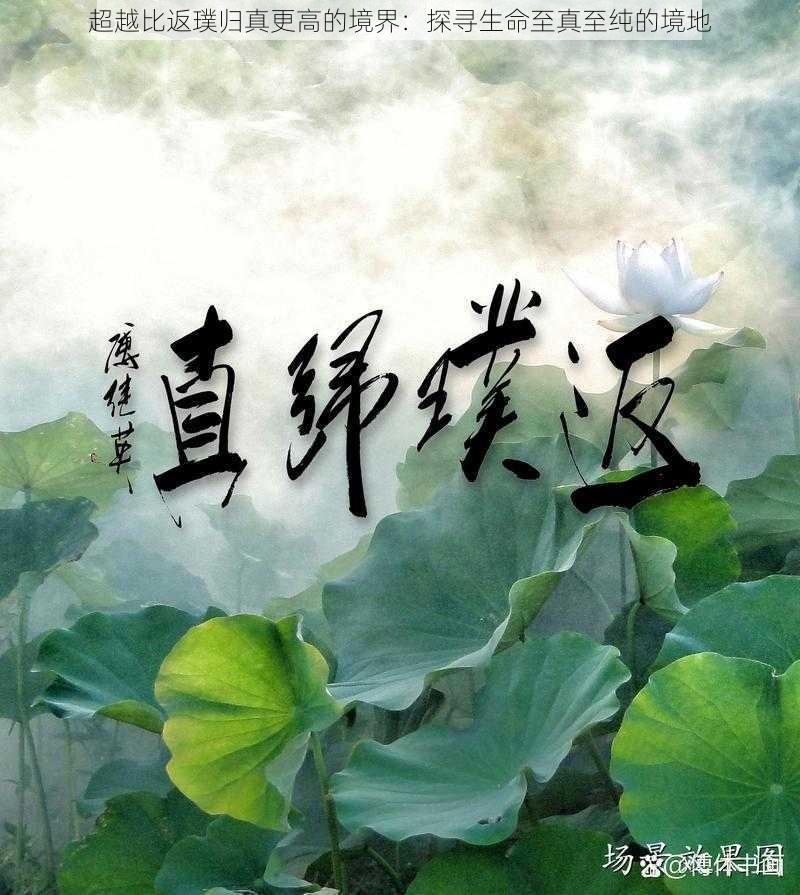 超越比返璞归真更高的境界：探寻生命至真至纯的境地