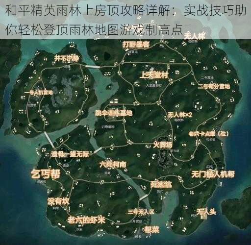 和平精英雨林上房顶攻略详解：实战技巧助你轻松登顶雨林地图游戏制高点