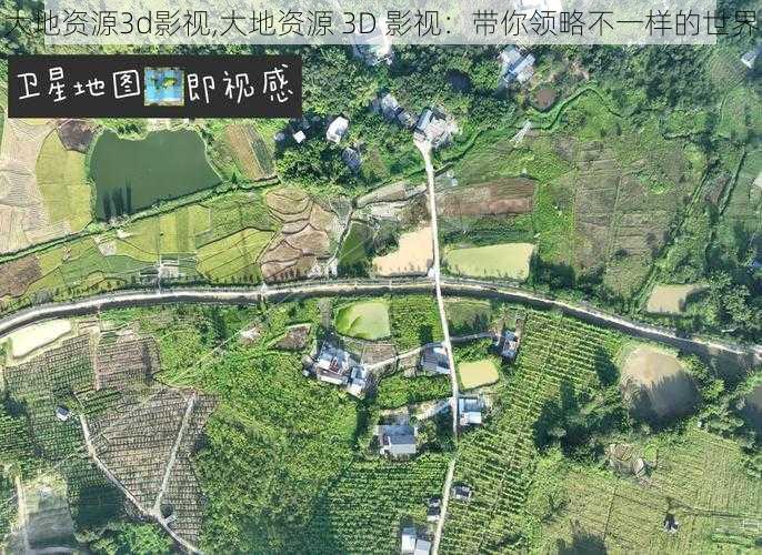 大地资源3d影视,大地资源 3D 影视：带你领略不一样的世界