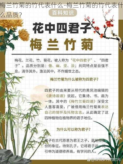 梅兰竹菊的竹代表什么-梅兰竹菊的竹代表什么品质？