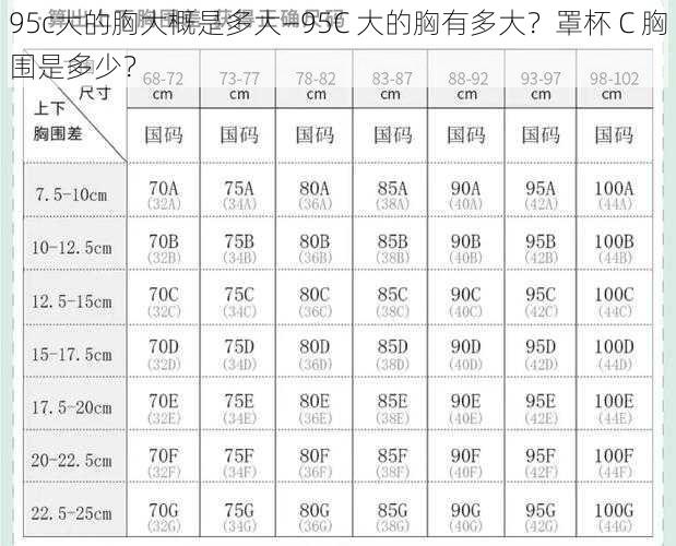 95c大的胸大概是多大—95C 大的胸有多大？罩杯 C 胸围是多少？