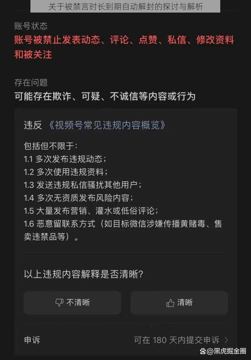 关于被禁言时长到期自动解封的探讨与解析