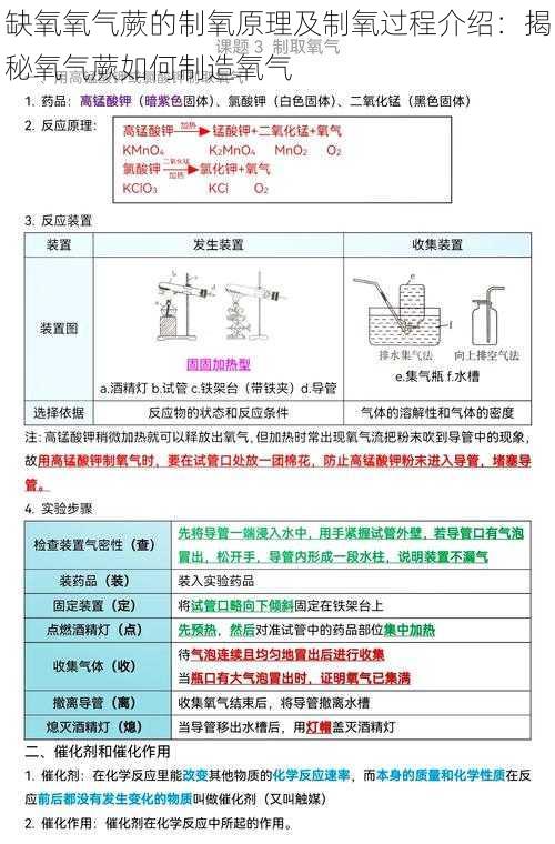 缺氧氧气蕨的制氧原理及制氧过程介绍：揭秘氧气蕨如何制造氧气