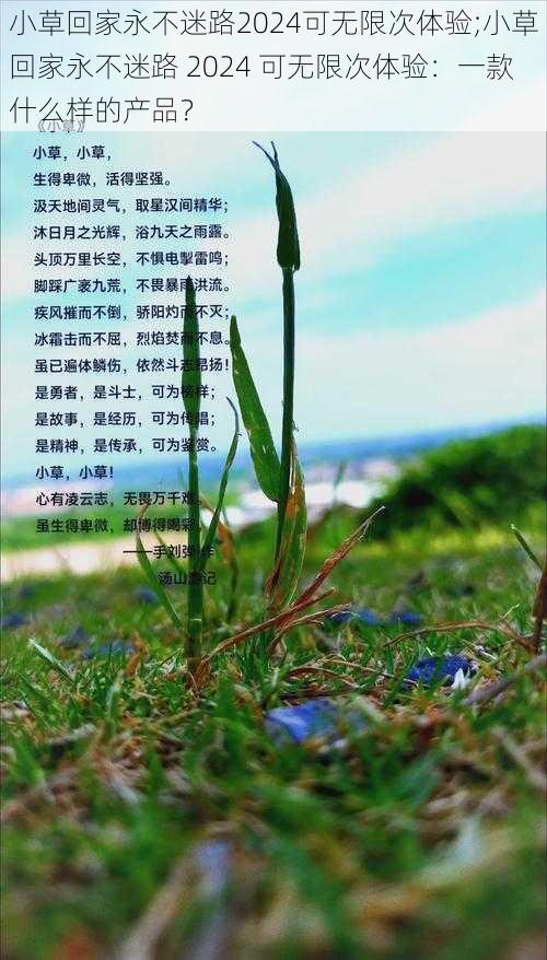 小草回家永不迷路2024可无限次体验;小草回家永不迷路 2024 可无限次体验：一款什么样的产品？