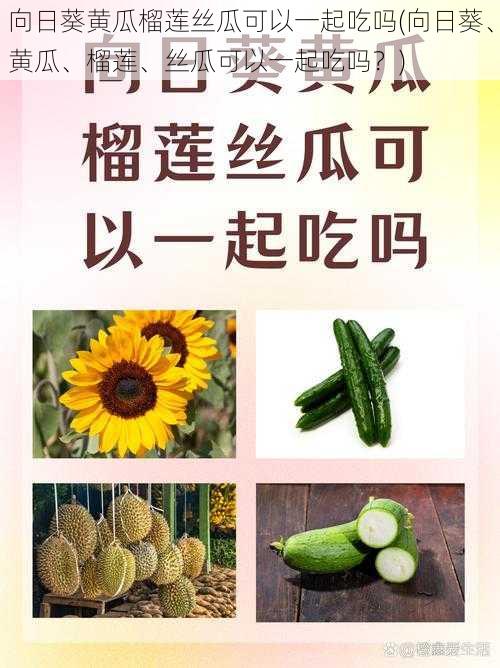 向日葵黄瓜榴莲丝瓜可以一起吃吗(向日葵、黄瓜、榴莲、丝瓜可以一起吃吗？)