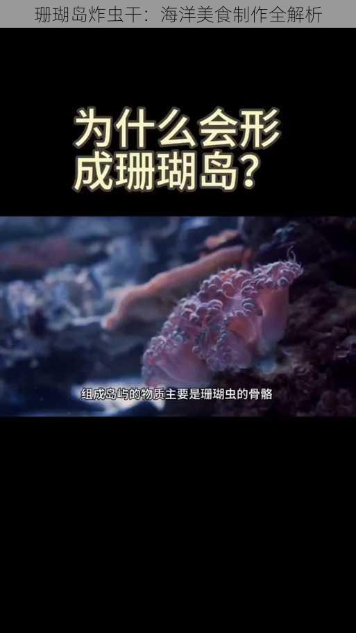 珊瑚岛炸虫干：海洋美食制作全解析