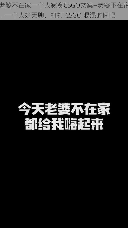 老婆不在家一个人寂寞CSGO文案—老婆不在家，一个人好无聊，打打 CSGO 混混时间吧