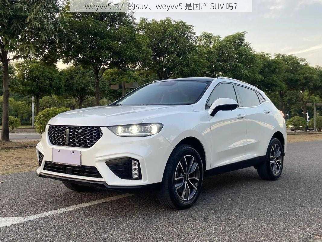 weyvv5国产的suv、weyvv5 是国产 SUV 吗？