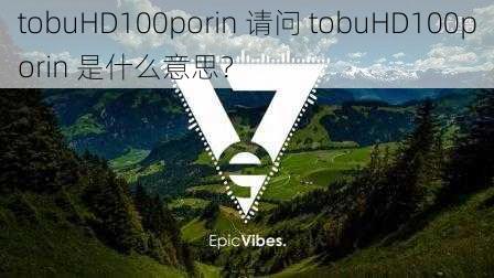 tobuHD100porin 请问 tobuHD100porin 是什么意思？