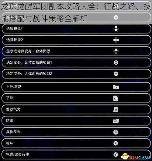 龙珠觉醒军团副本攻略大全：征战之路、技能搭配与战斗策略全解析