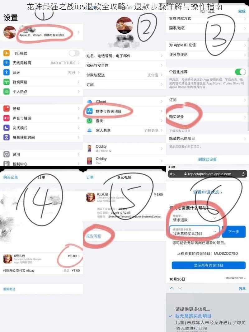 龙珠最强之战ios退款全攻略：退款步骤详解与操作指南