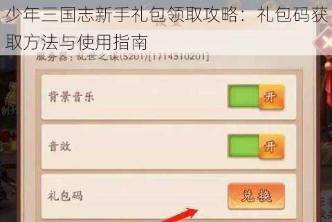 少年三国志新手礼包领取攻略：礼包码获取方法与使用指南
