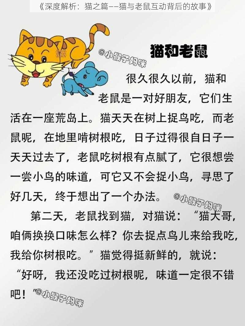 《深度解析：猫之篇——猫与老鼠互动背后的故事》