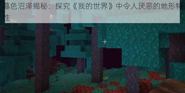 暮色沼泽揭秘：探究《我的世界》中令人厌恶的地形特性