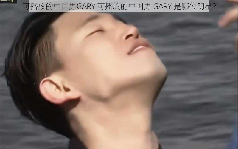 可播放的中国男GARY 可播放的中国男 GARY 是哪位明星？