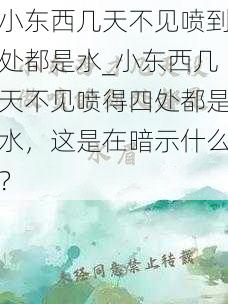 小东西几天不见喷到处都是水_小东西几天不见喷得四处都是水，这是在暗示什么？