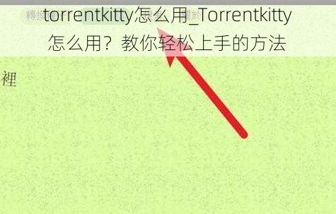 torrentkitty怎么用_Torrentkitty 怎么用？教你轻松上手的方法