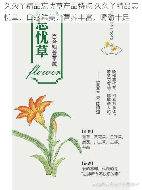 久久丫精品忘忧草产品特点 久久丫精品忘忧草，口感鲜美，营养丰富，嚼劲十足