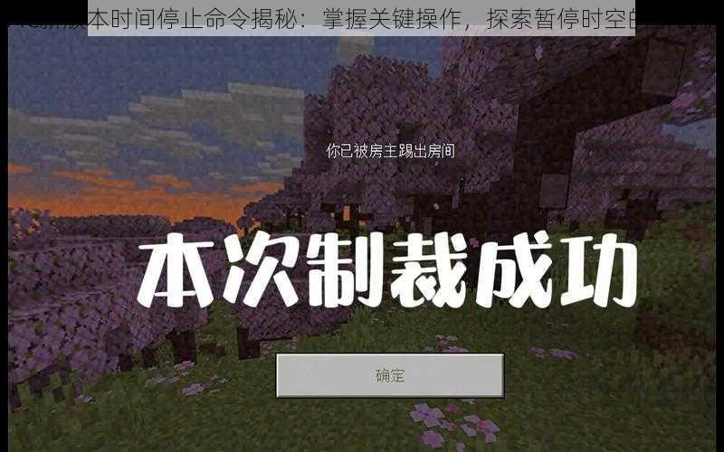 MC新版本时间停止命令揭秘：掌握关键操作，探索暂停时空的新机制