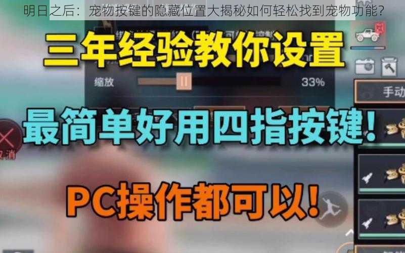 明日之后：宠物按键的隐藏位置大揭秘如何轻松找到宠物功能？