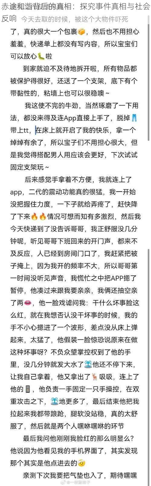 赤途和谐背后的真相：探究事件真相与社会反响