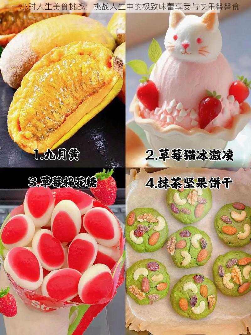 一小时人生美食挑战：挑战人生中的极致味蕾享受与快乐叠叠食