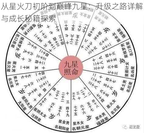 从星火刀初阶到巅峰九星：升级之路详解与成长秘籍探索