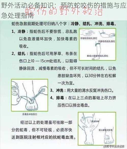 野外活动必备知识：预防蛇咬伤的措施与应急处理指南