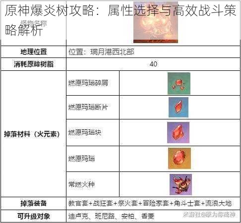 原神爆炎树攻略：属性选择与高效战斗策略解析