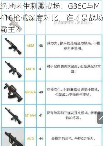 绝地求生刺激战场：G36C与M416枪械深度对比，谁才是战场霸主？