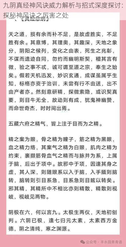 九阴真经神风诀威力解析与招式深度探讨：探秘神风诀之厉害之处