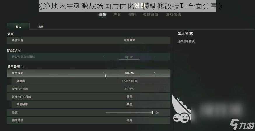 《绝地求生刺激战场画质优化：模糊修改技巧全面分享》