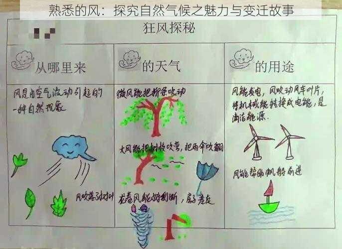 熟悉的风：探究自然气候之魅力与变迁故事