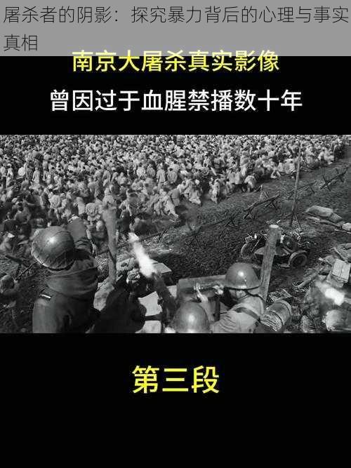 屠杀者的阴影：探究暴力背后的心理与事实真相