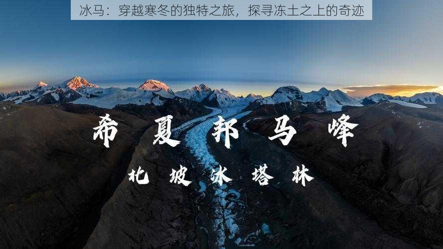 冰马：穿越寒冬的独特之旅，探寻冻土之上的奇迹